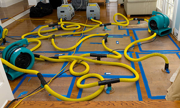 Professional Basement Flood Cleanup technician working in Chesterhill, OH