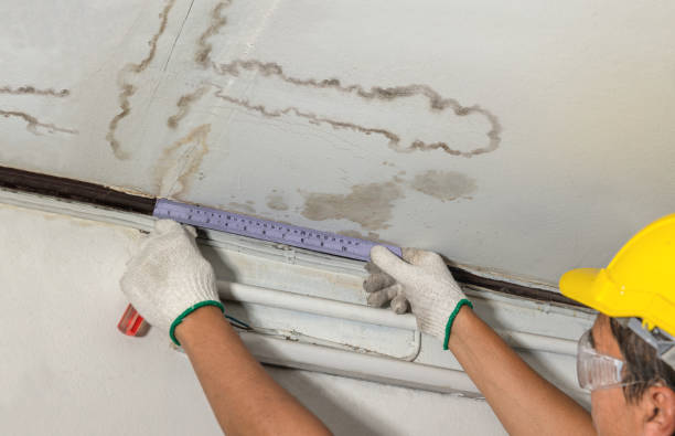 Affordable Water Damage Repair solutions in Chesterhill, OH